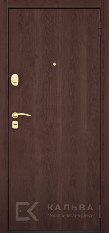 Фото «Дверь Ламинат №74»