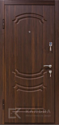 Фото №2 «Железная дверь под дерево с классическими филенками и аркой №37»