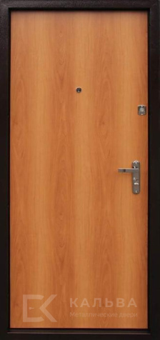 Фото №2 «Дверь Порошок №63»