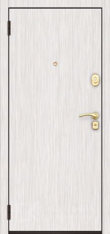 Фото №2 «Дверь Порошок №80»