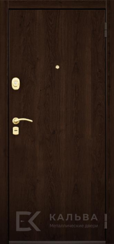 Фото «Дверь Ламинат №6»