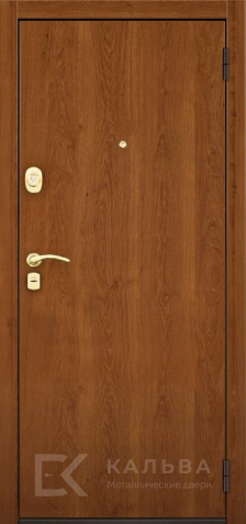 Фото «Дверь с шумоизоляцией №2»